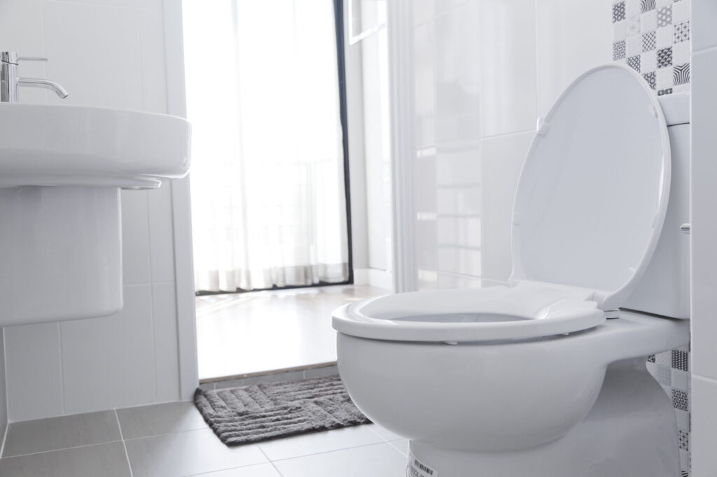 White Toilet In Home