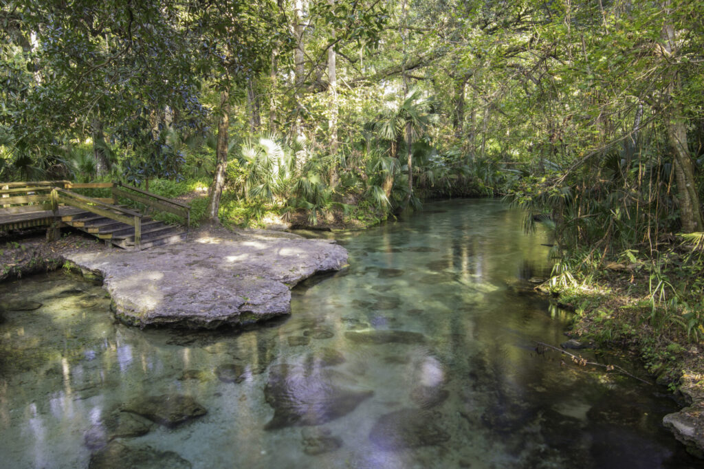 Clear Spring in Florida